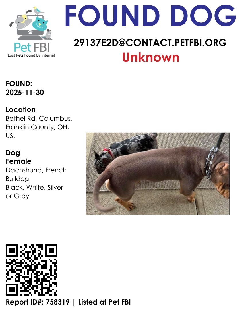 Pet FBI Report ID #758319 for a FOUND DOG | Pet FBI Pets Found By