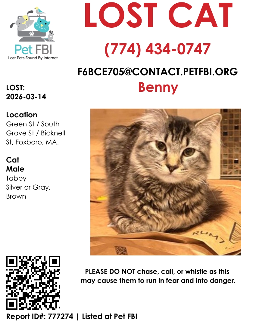 Pet FBI Report ID #777274 for a LOST CAT | Pet FBI Pets Found By Internet