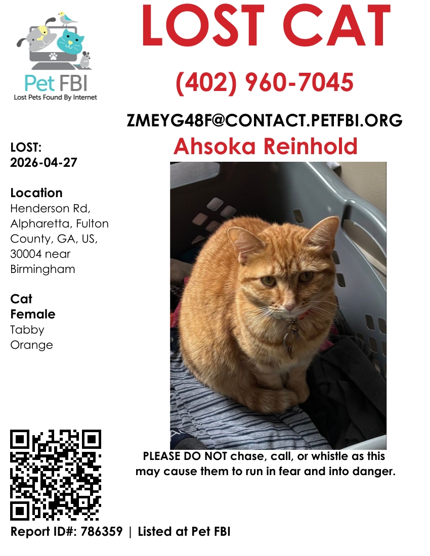 Pet FBI Report ID #786359 for a LOST CAT | Pet FBI Pets Found By