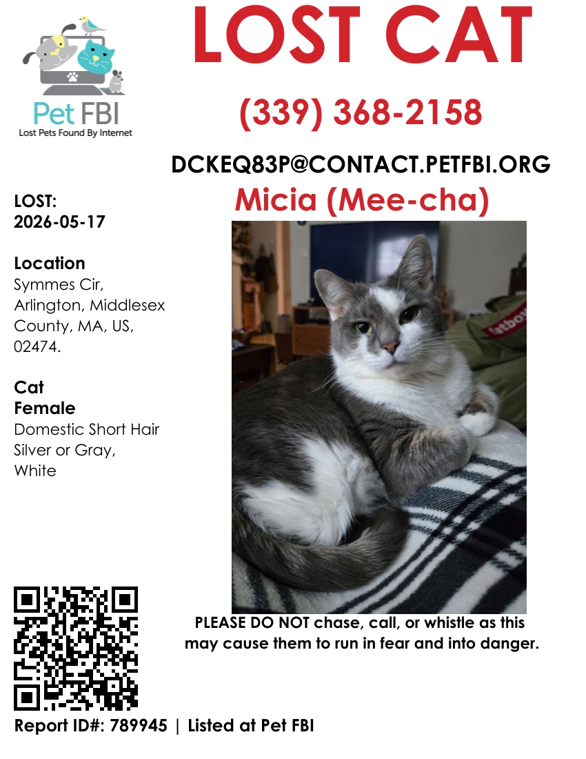 Pet FBI Report ID #789945 for a LOST CAT | Pet FBI Pets Found By Internet