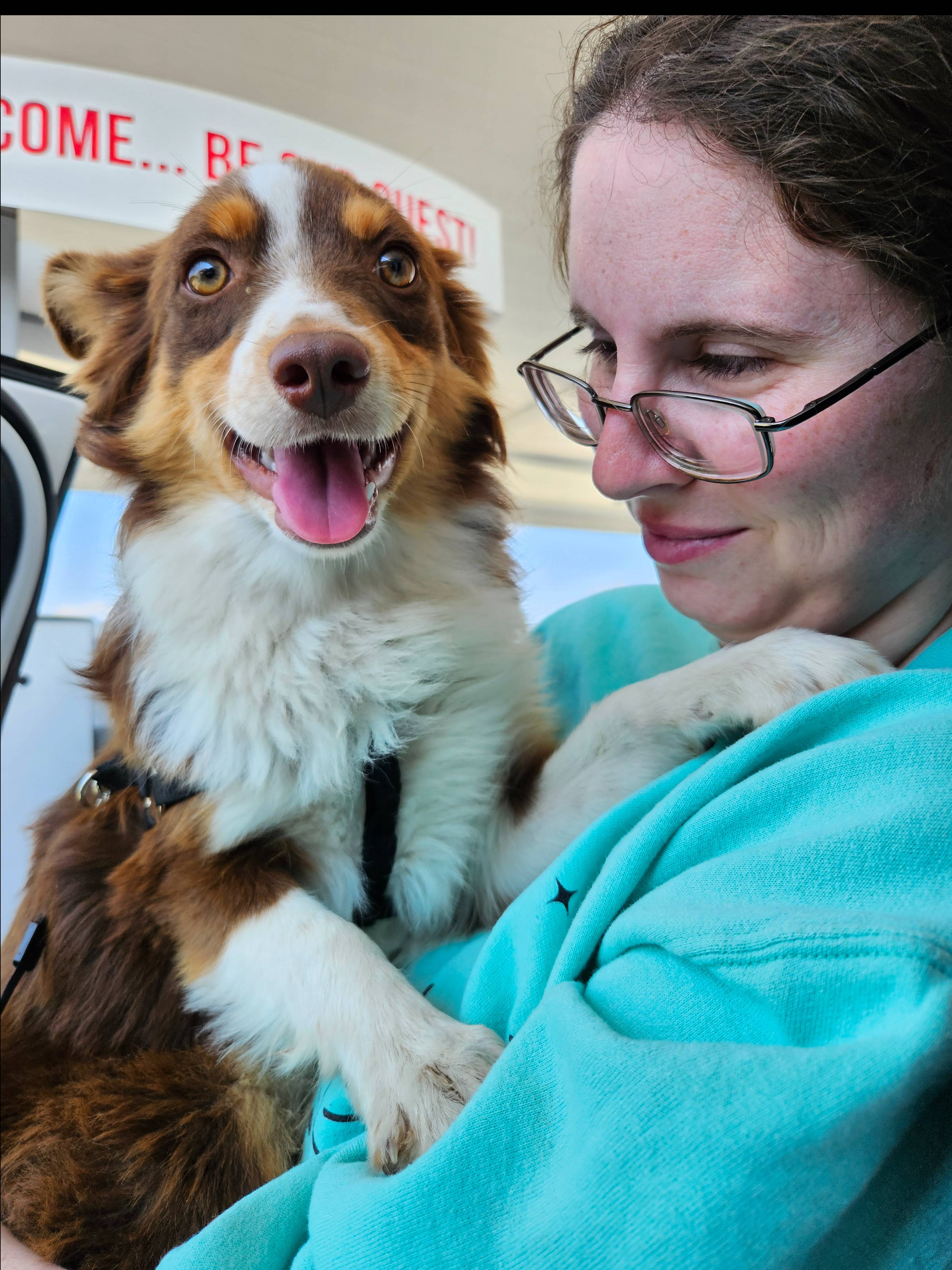 Pet FBI Report ID 648969 for a LOST DOG Pet FBI Pets Found By